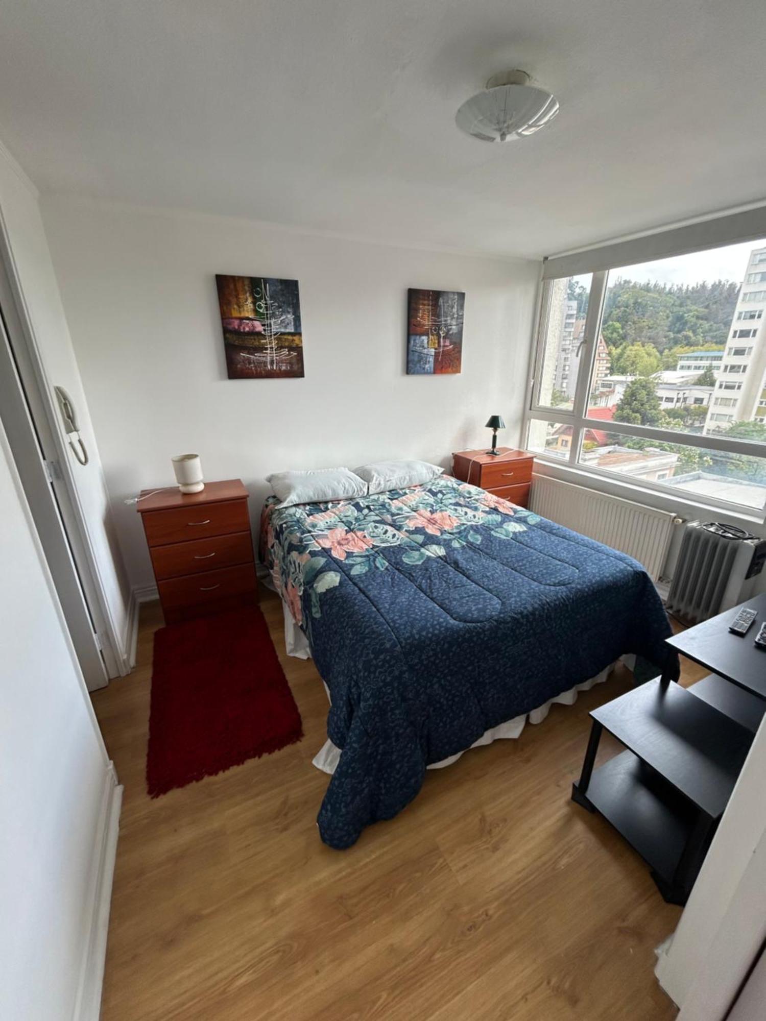 Apartament Mirador Parque Concepción Zewnętrze zdjęcie